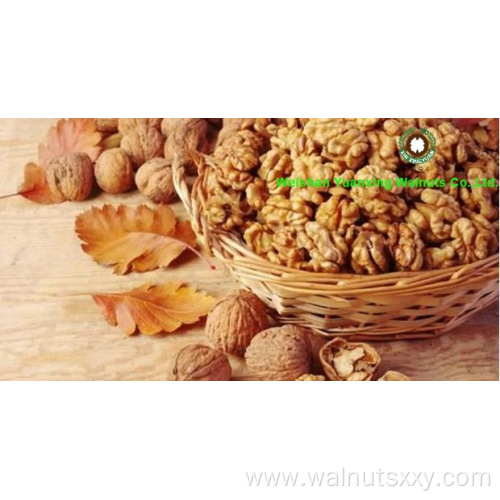Foods for longevity Chinese Walnut Kernels Light Quarters